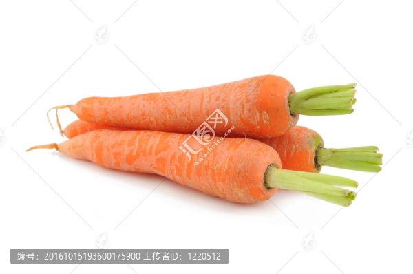 新鮮的胡蘿卜