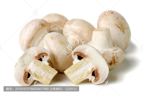 白色蘑菇上的按鈕