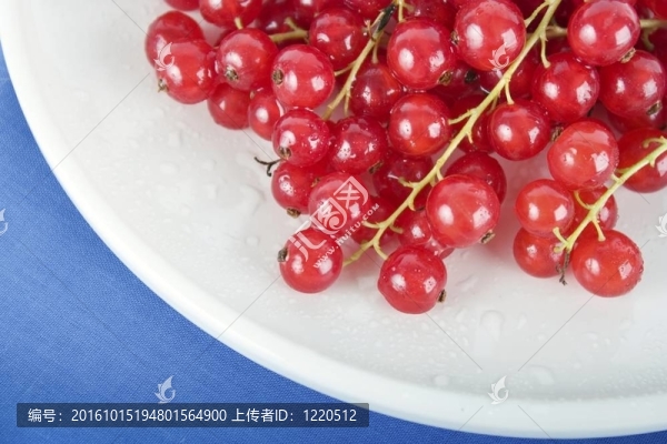紅醋栗