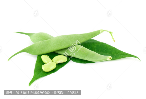 綠色的豆莢