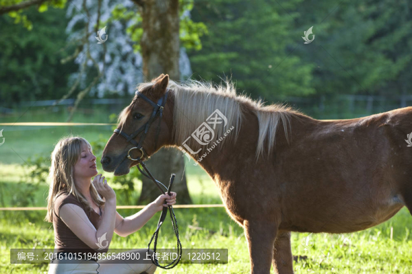 女人和Shetland,pony