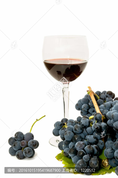 葡萄和葡萄酒