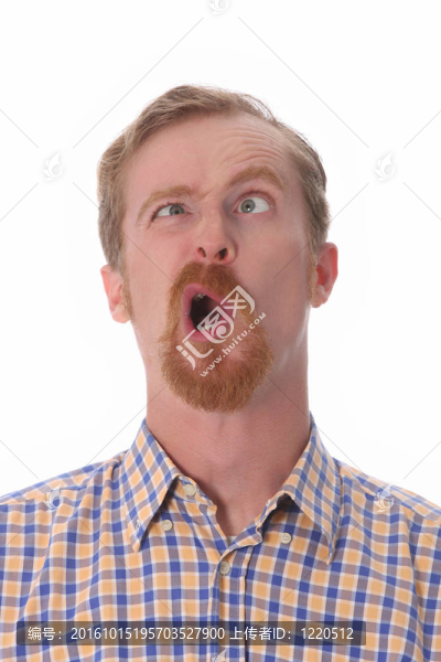 滑稽人的肖像