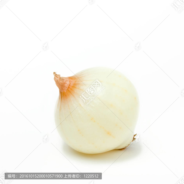 蔥線