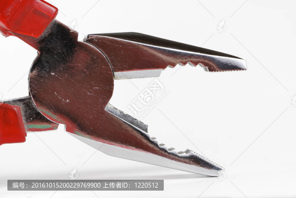 紅鉗