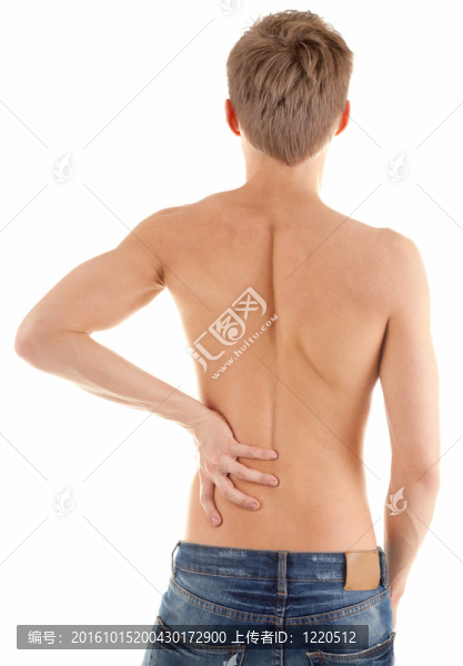 一個(gè)赤裸的男性軀干的背面