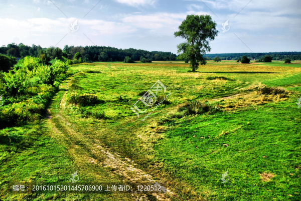 春天的風(fēng)景