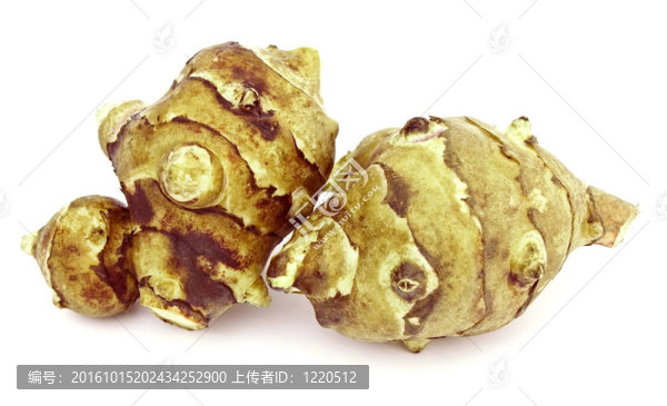 耶路撒冷朝鮮薊
