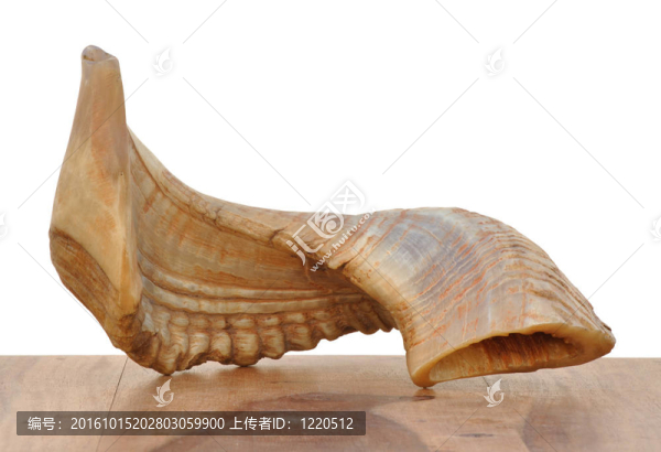 羊角號(hào)