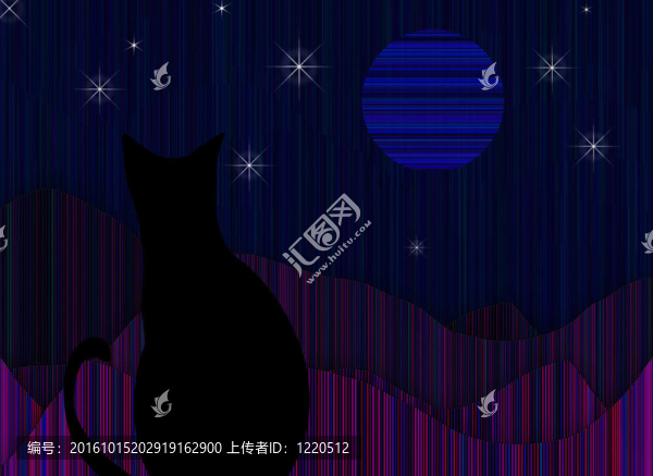 貓凝視著夜晚