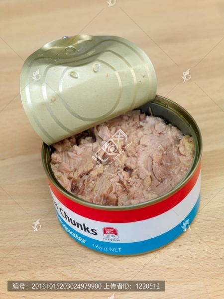 金槍魚