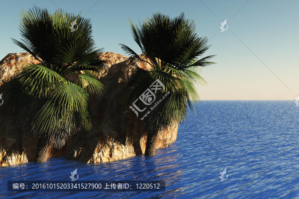 棕櫚樹和巖石