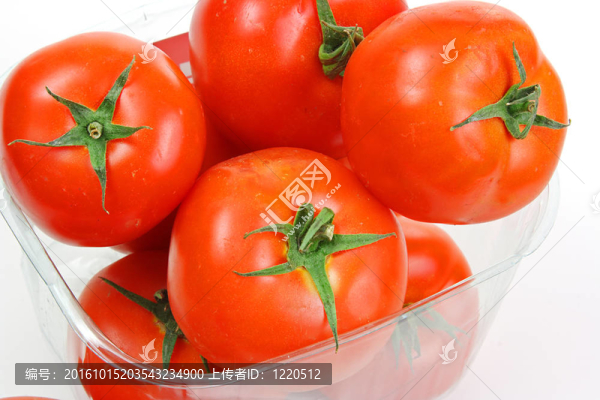許多西紅柿