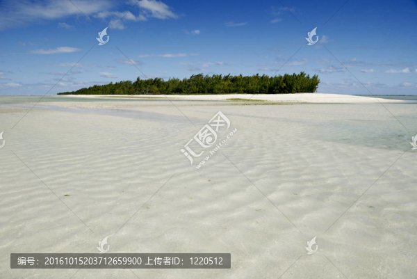 桑迪海灘