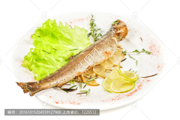 魚