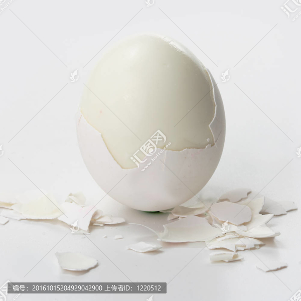 白蛋
