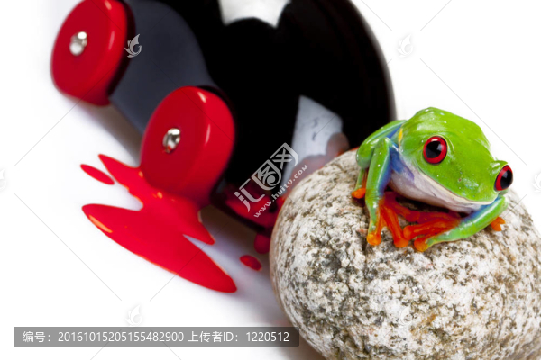 綠色的青蛙的特寫！