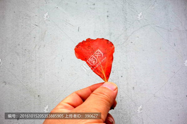 手拿落葉
