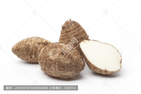駿河太郎的根