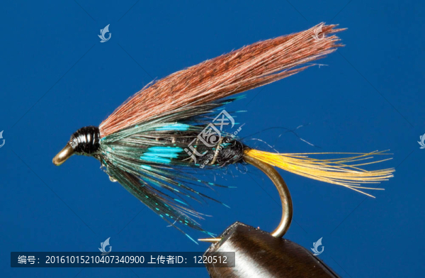 一位康內(nèi)馬拉黑人傳統(tǒng)鱒魚特寫飛