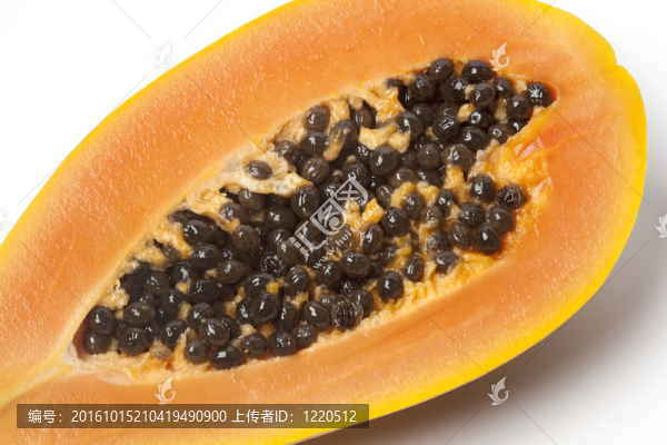 半木瓜果實(shí)