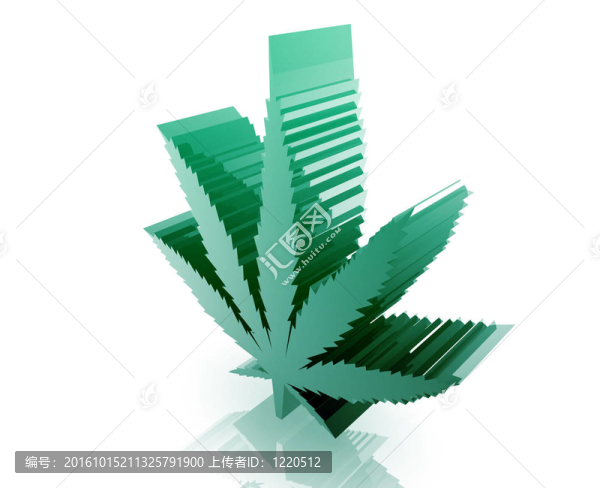 大麻大麻葉