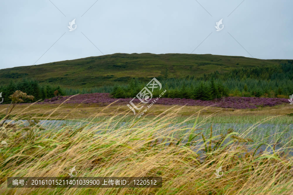可finlaggan,MOR的湖