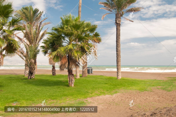 美麗的風(fēng)景