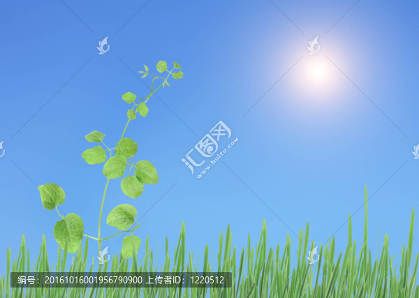 陽光下的植物