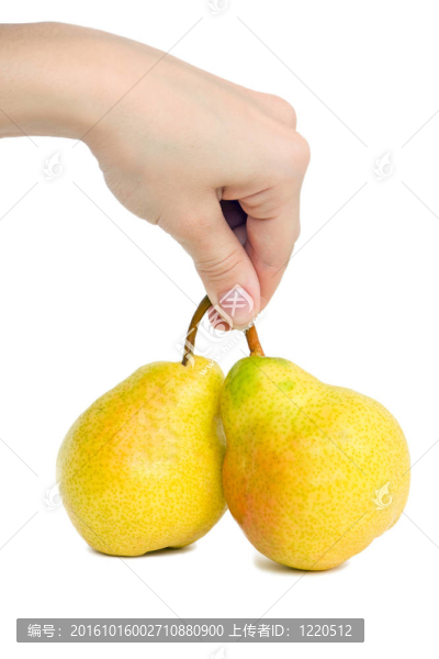 手與梨