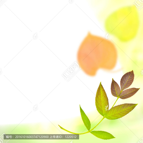 美麗的秋天背景黃橙色和綠色色調(diào)與模式從樹(shù)葉
