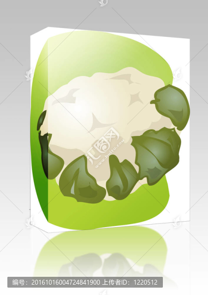 花椰菜插圖盒包裝