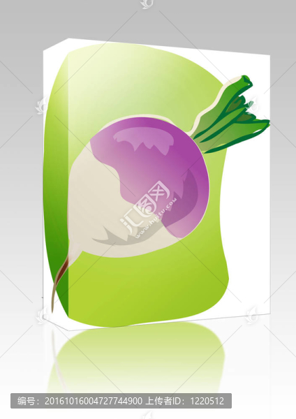 蘿卜插畫盒包裝