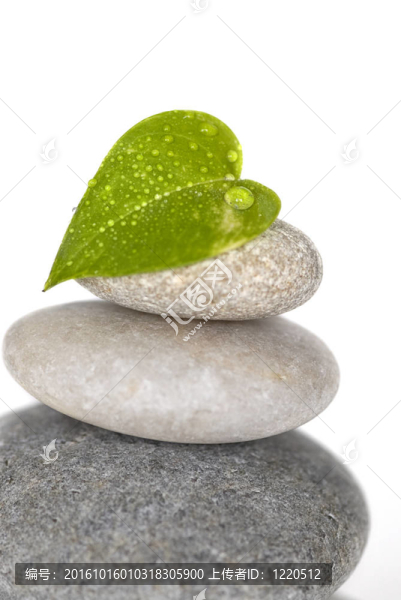 凱恩
