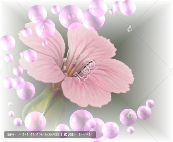 粉紅色野花的藝術(shù)