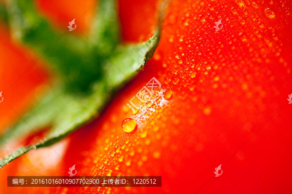 番茄的背景-匯圖網(wǎng) www.fosd68.com 番茄的背景