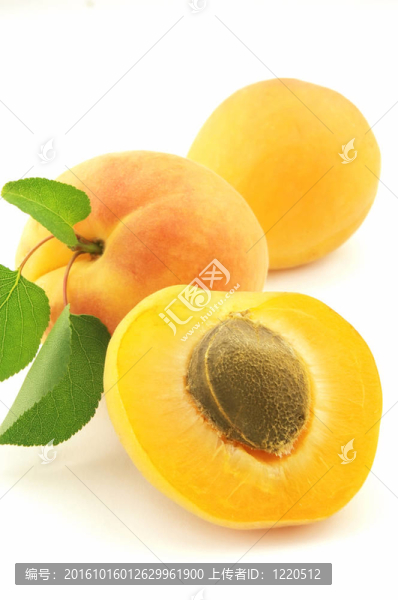 鮮杏