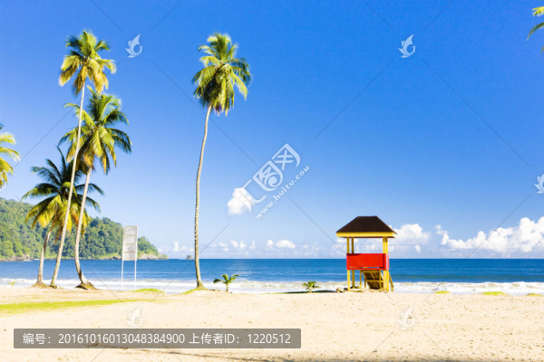 海灘上的小屋；馬拉卡斯灣；特立尼達(dá)