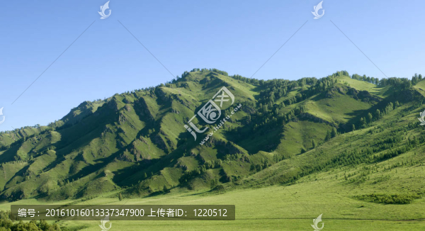 山地景觀
