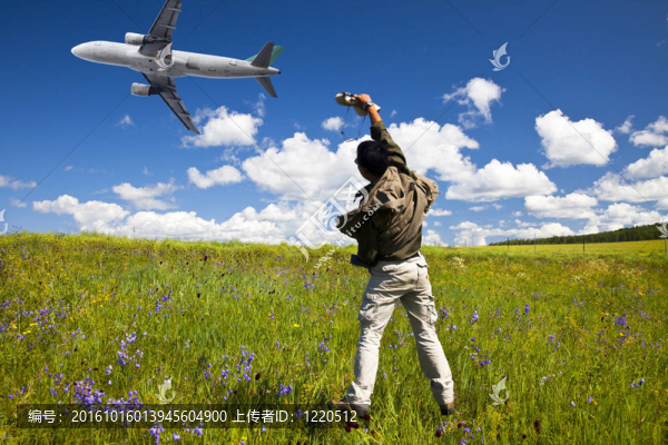 飛機(jī)和花