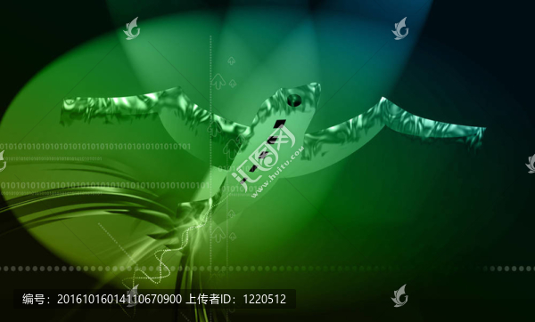 飛機和鳥