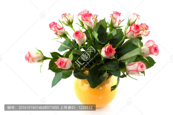 花瓶里的粉紅玫瑰
