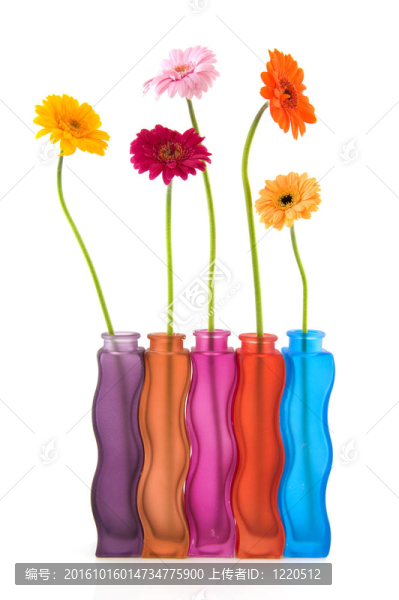 五顏六色的花和花瓶