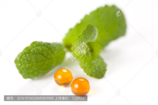 綠薄荷葉