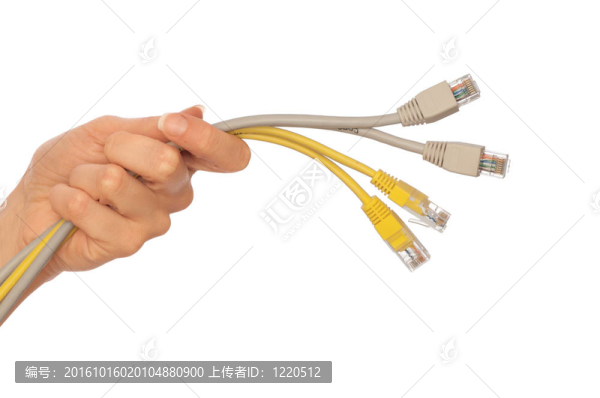 蘭線