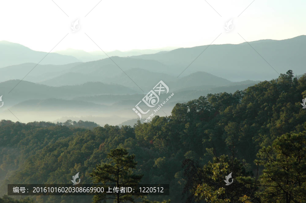 山的樹梢
