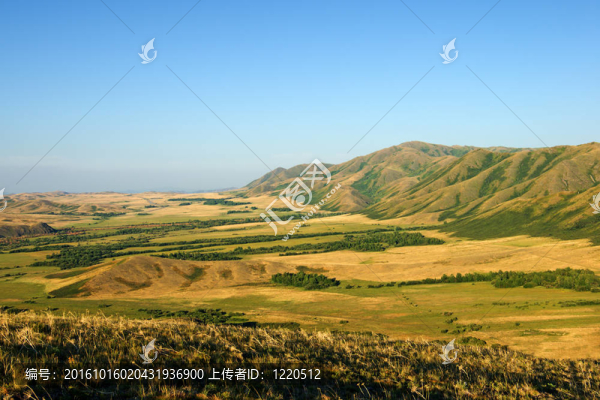 山地景觀