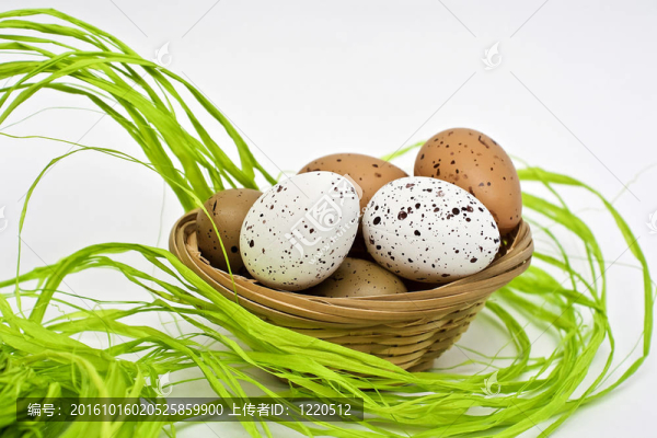 籃子里的雞蛋