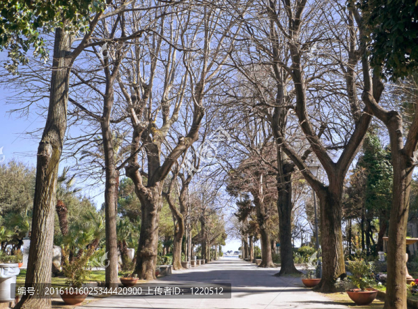 公共公園。Trani。Apulia。
