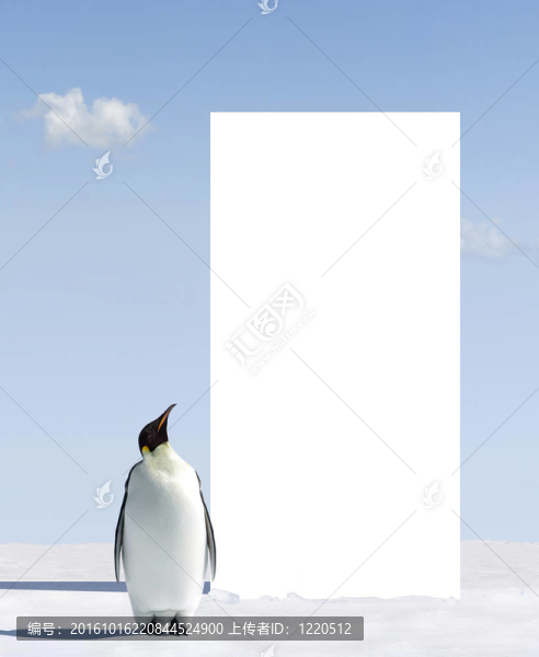 廣告牌